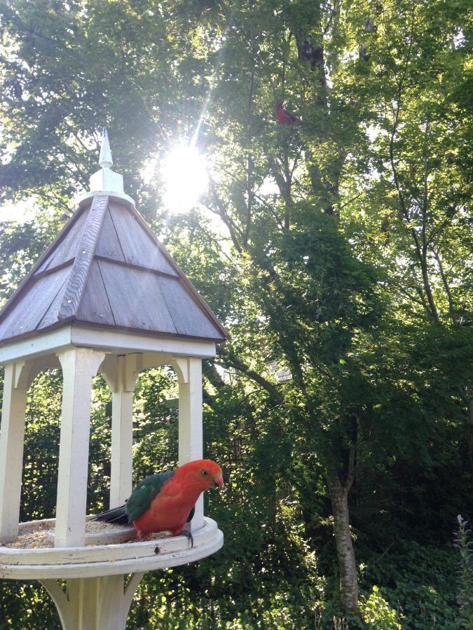 Illalangi Boutique Cottage Блекхийт Екстериор снимка